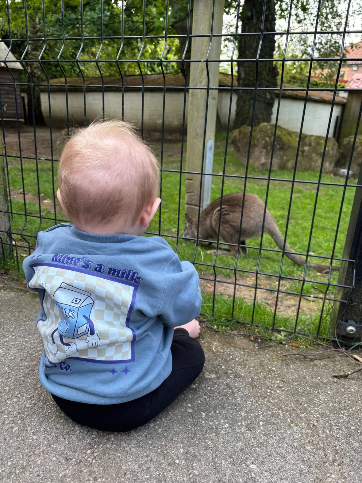 Toddler in Beck and Co. streetwear tee sitting by animal enclosure at a zoo