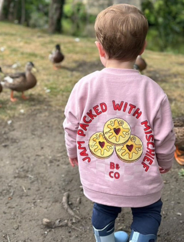 Child wearing a pink sweater with a cookie design and text, standing outdoors with ducks in the background.